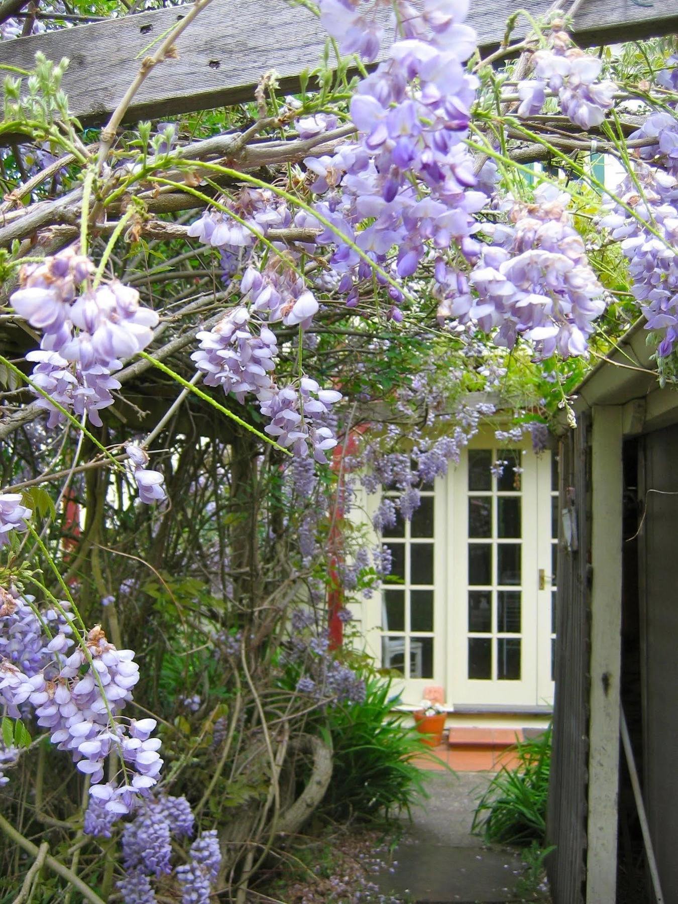 Crabtree House Grove Exterior foto