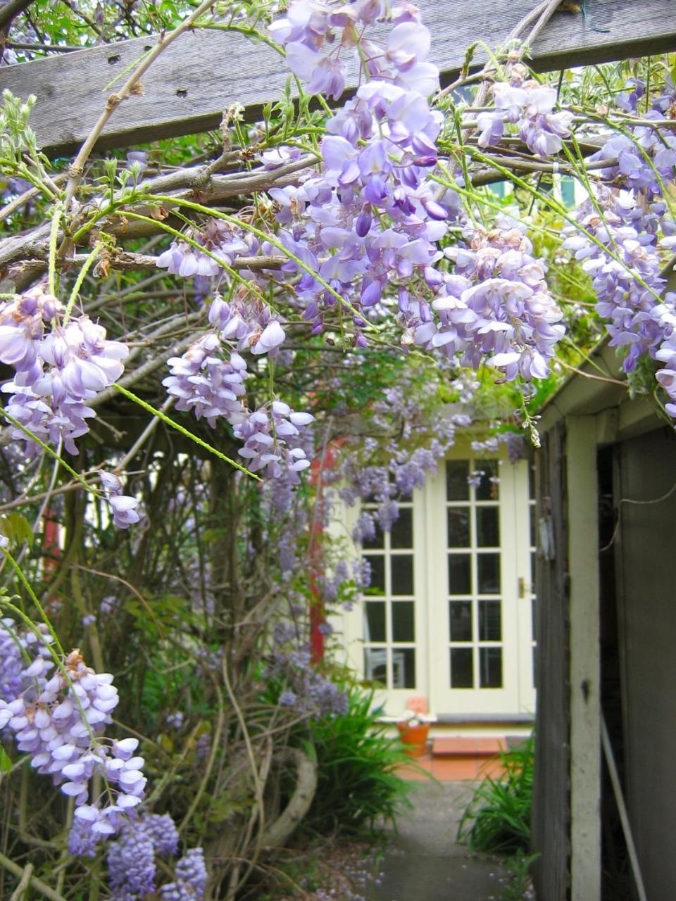 Crabtree House Grove Exterior foto